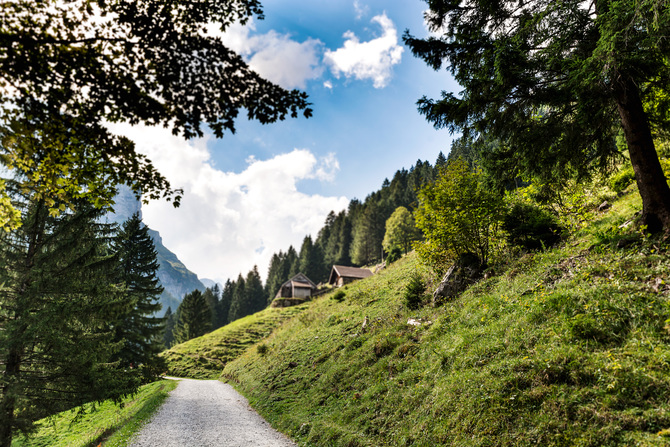 seealpsee 6