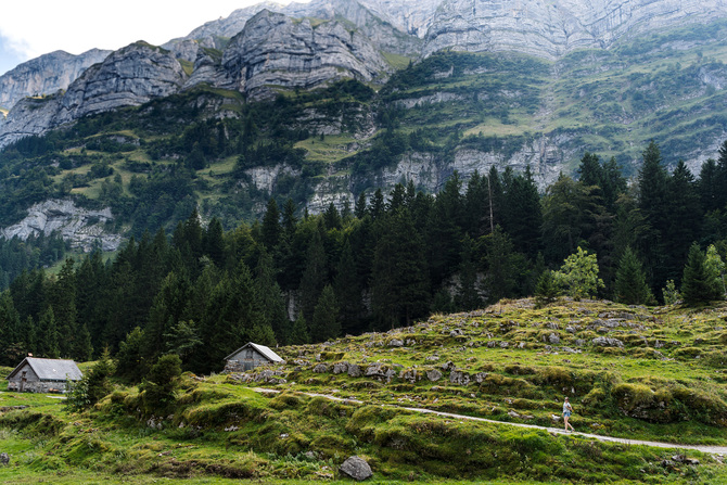 seealpsee4