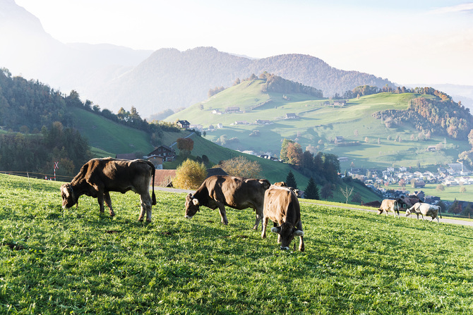 stanserhorn11