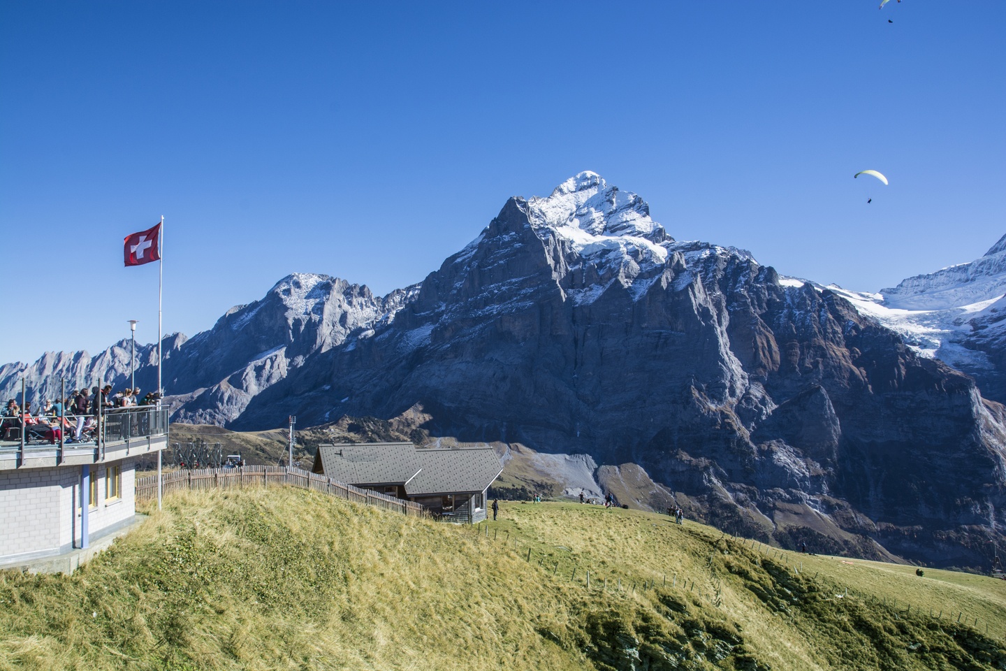 First Flyer, Grindelwald SwissGlam.ch