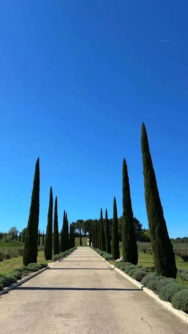 Step into pure Provençal bliss at @coquillade_provence 🌿
From your own suite with a private jacuzzi and terrace views over the vineyards, to serene dips in outdoor pools and indulgent spa moments — plus unforgettable dining and sunset cocktails at the panoramic bar! 

#CoquilladeProvence #LuxuryRetreat #SwissGlamOnTour #SuiteLife #SwissGlam #relaischateaux #Provencehotel